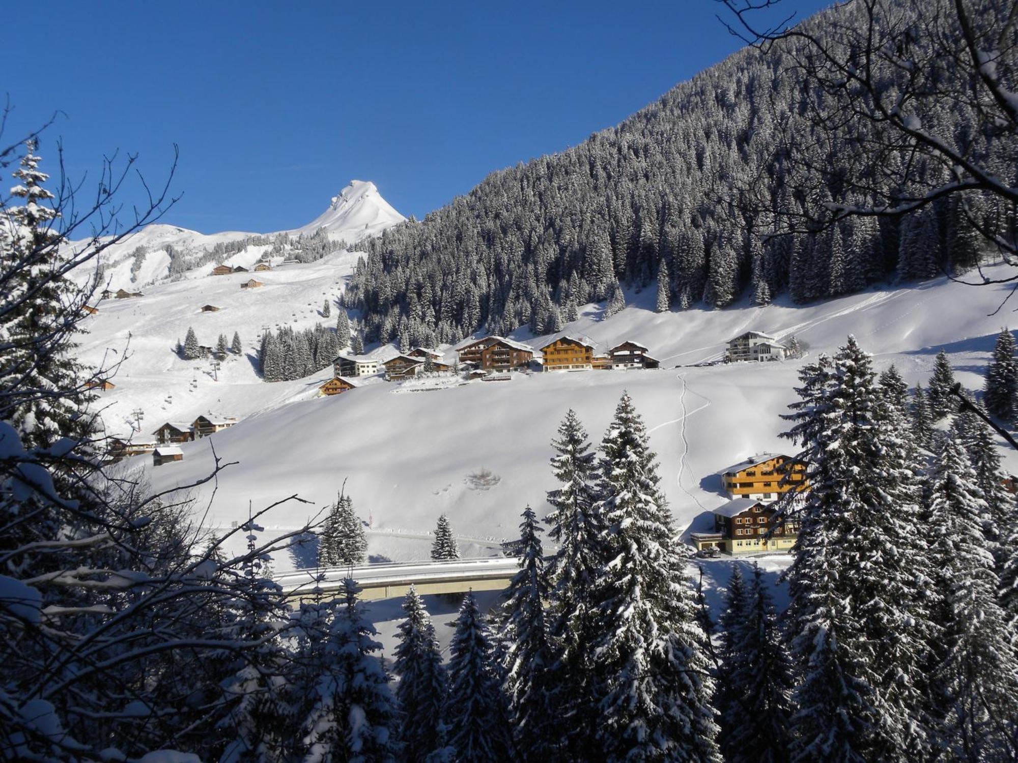Hotel Alpenblume Damuels Exteriér fotografie